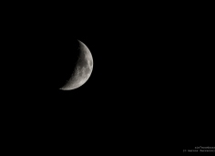 Moon, Marcos Ferreiro